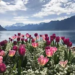 Petit Paradis Riveria * Montreux
