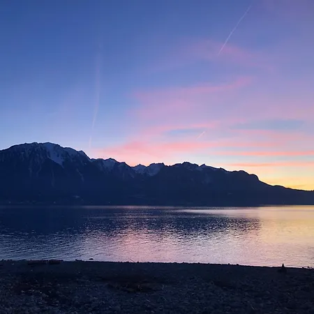 Petit Paradis Apartment Montreux