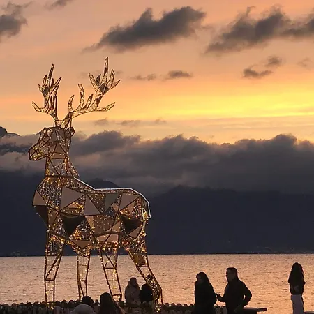 Petit Paradis Riveria アパート モントルー