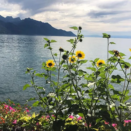 Apartment Petit Paradis Montreux