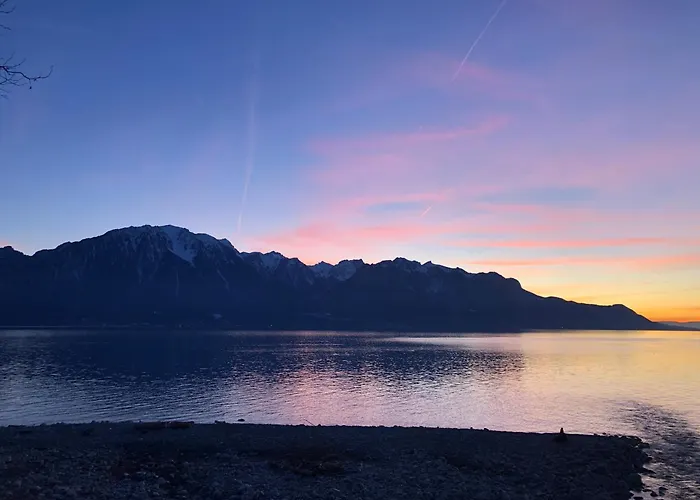 Petit Paradis Riveria Lejlighed Montreux