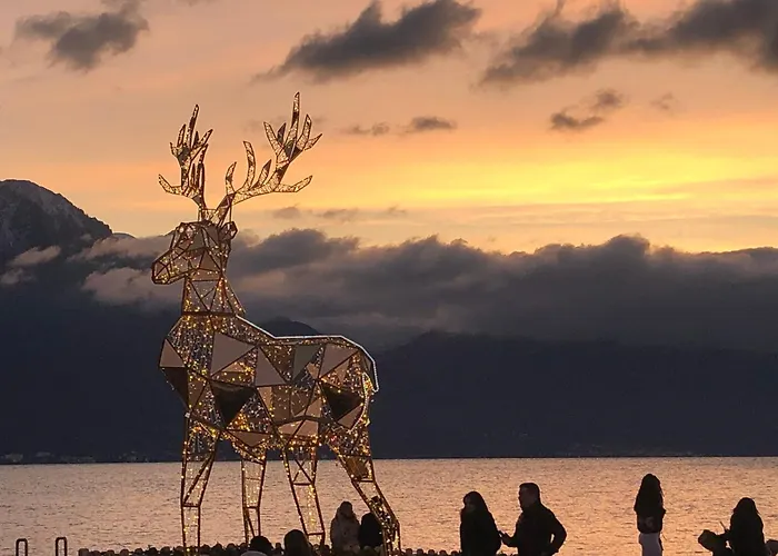 Petit Paradis Riveria Lejlighed Montreux