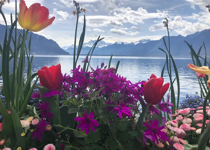 Petit Paradis Riveria Apartment *