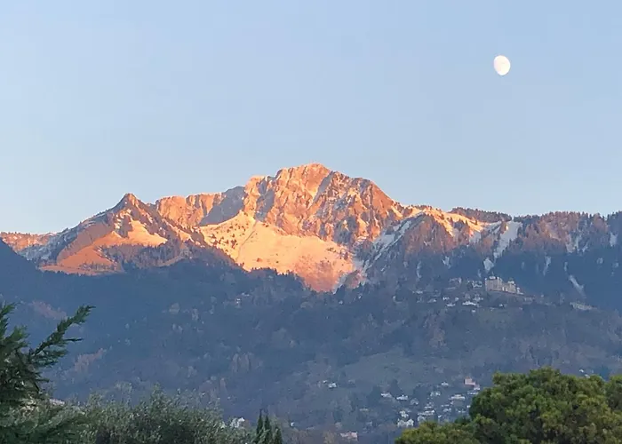 Petit Paradis Riveria Apartment Montreux