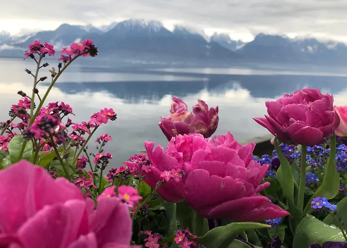 Apartment Petit Paradis Riveria