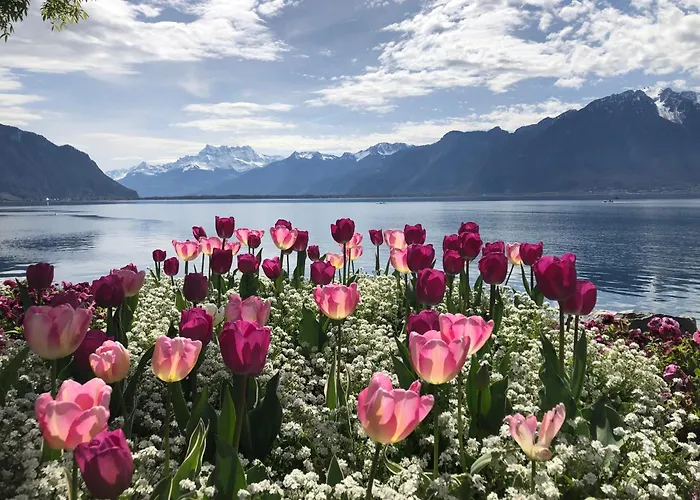 Petit Paradis Riveria * Montreux