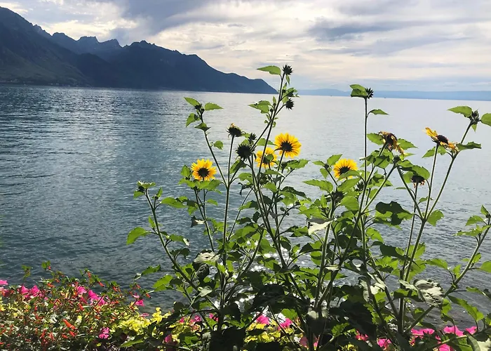 Lejlighed Petit Paradis Riveria Montreux