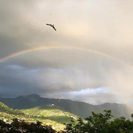 Apartamento Petit Paradis Riveria