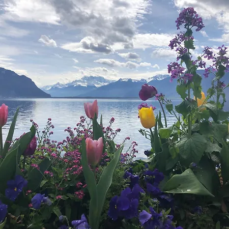 Petit Paradis Riveria Apartamento