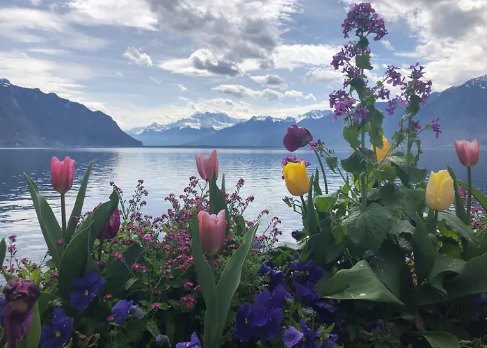 Petit Paradis Riveria アパート