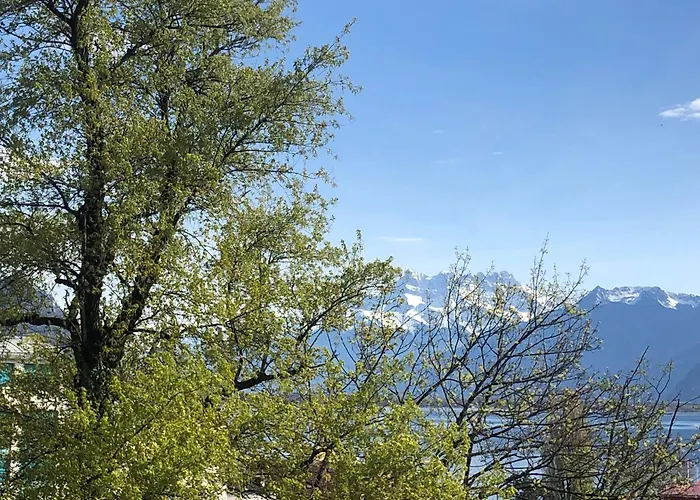 Petit Paradis Riveria モントルー